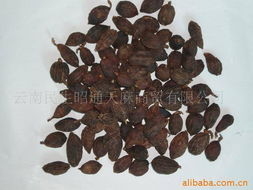 別義民油畫相關(guān)產(chǎn)品