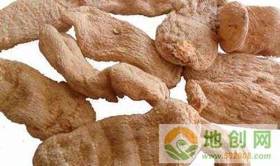 天麻的副作用,哪些人群不能食用